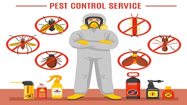 Pest Control