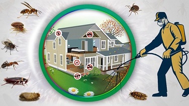 General Pest Control