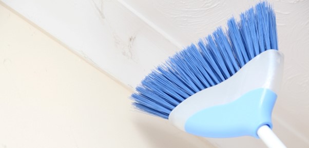 Cobweb Cleaning Services